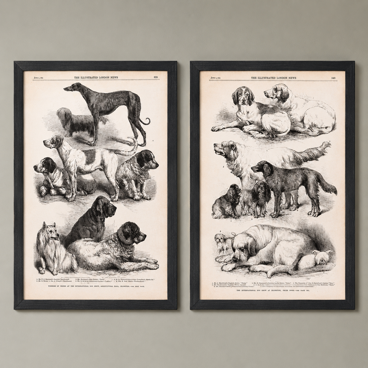 Vintage Canine Species Sepia Prints: 2 Varied Styles