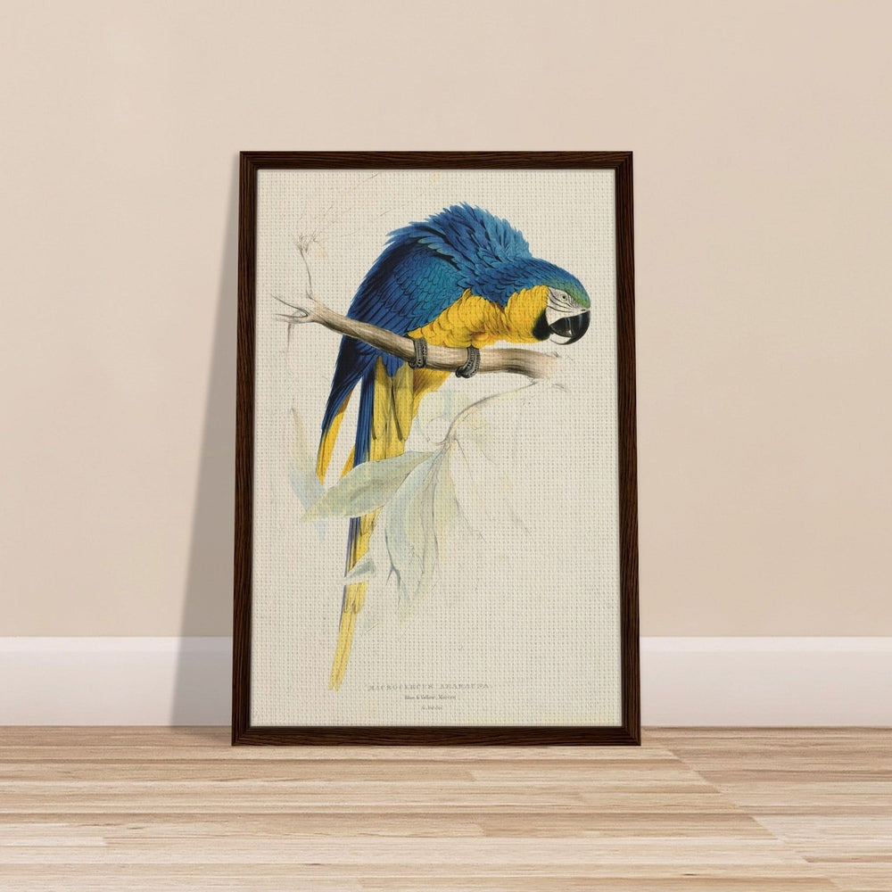 Blue & Yellow Macaw by Edward Lear (1812-1888) - Framed Canvas Print