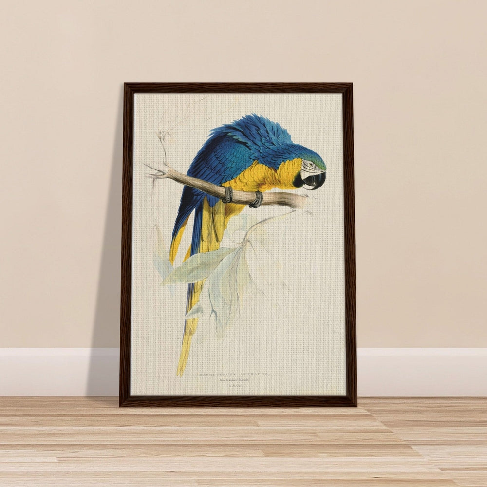 Blue & Yellow Macaw by Edward Lear (1812-1888) - Framed Canvas Print