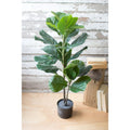 Ficus Lyrata artificiale in vaso