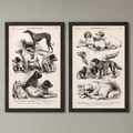 Stampe Seppia di Specie Canine d'Epoca: 2 Stili Diversi