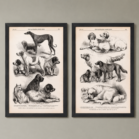 Vintage Canine Species Sepia Prints: 2 Varied Styles