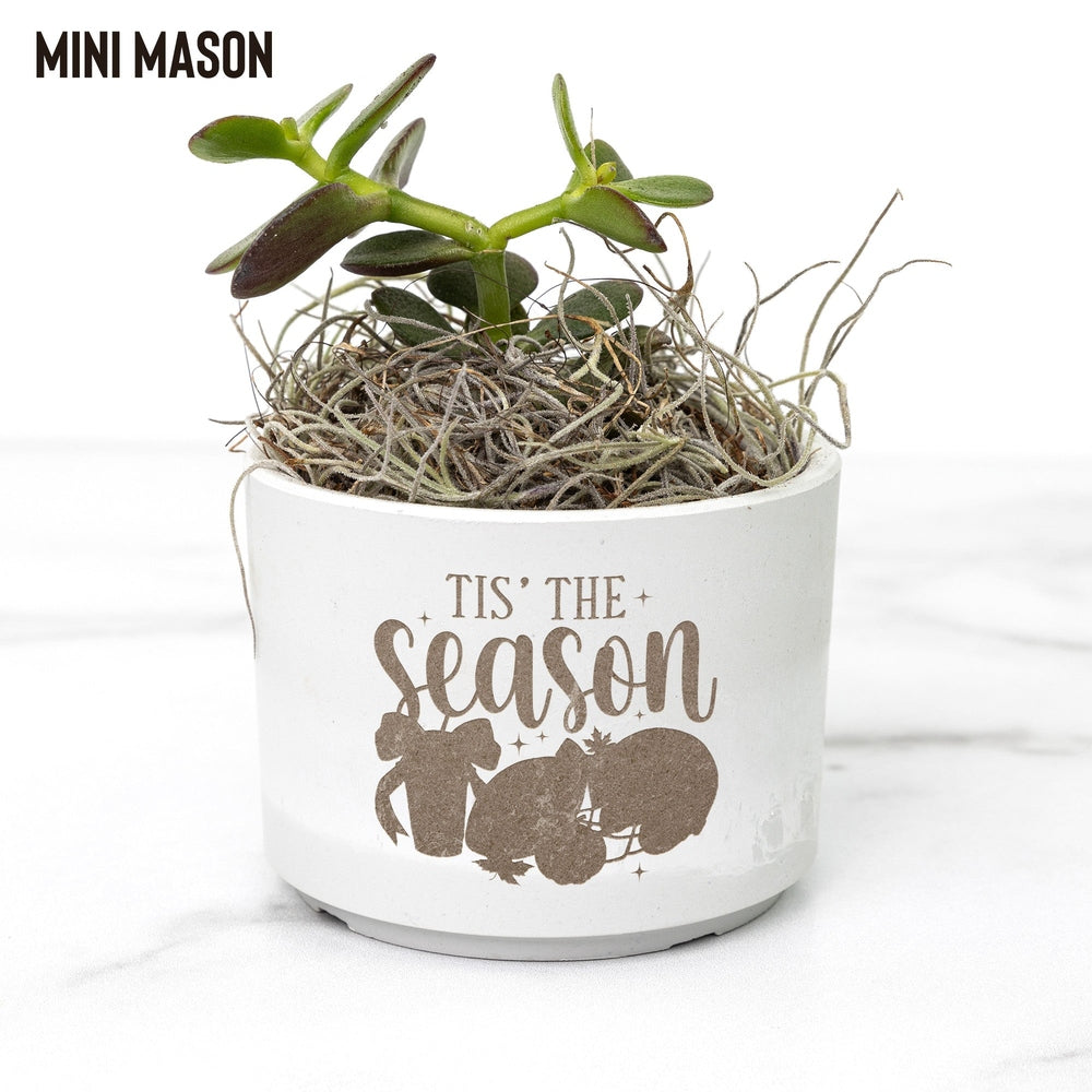 Regalo Pianta da Scrivania "Tis The Season"