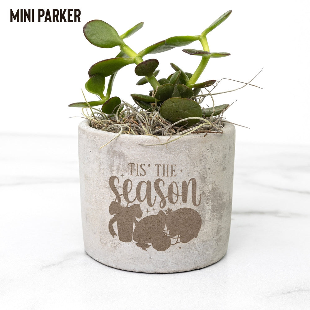 Regalo Pianta da Scrivania "Tis The Season"