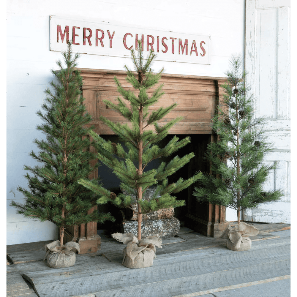 Alberi giovani del secondo anno (finto seme), set da 3