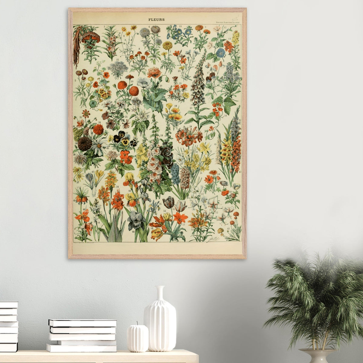 Illustrazione floreale vintage | Stampa botanica di Adolphe Millot | Arte murale floreale retrò