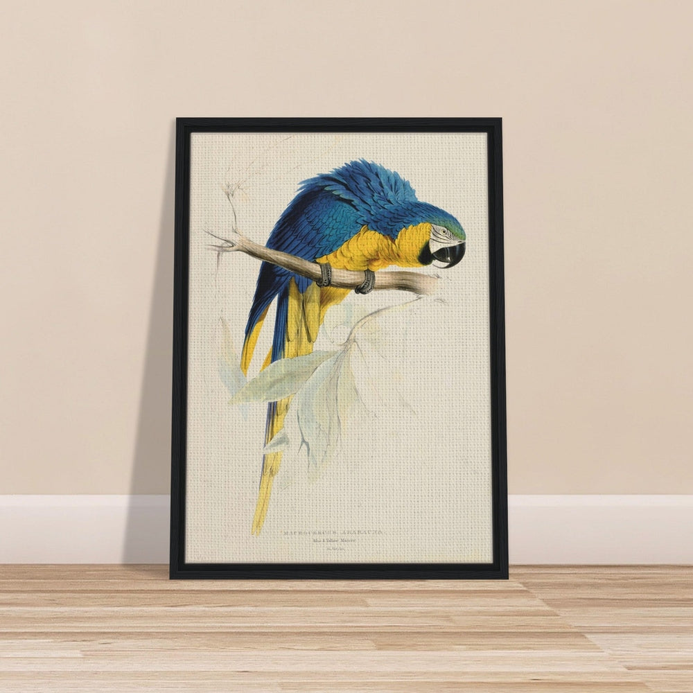 Blue & Yellow Macaw by Edward Lear (1812-1888) - Framed Canvas Print