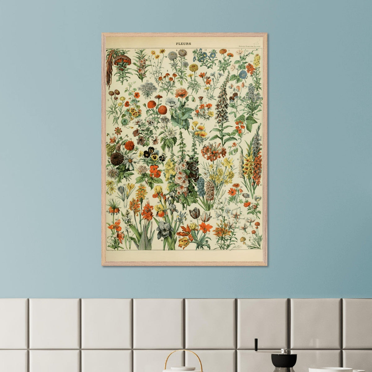 Illustrazione floreale vintage | Stampa botanica di Adolphe Millot | Arte murale floreale retrò