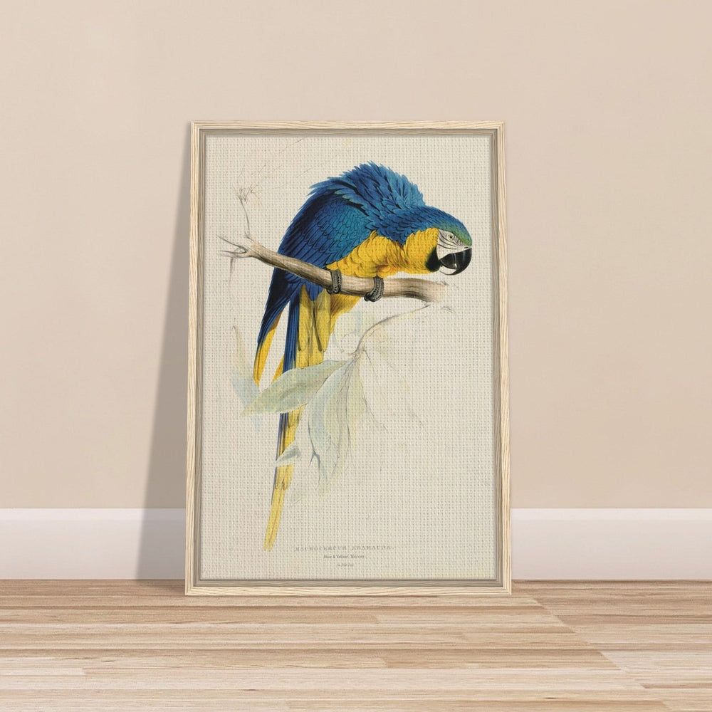 Blue & Yellow Macaw by Edward Lear (1812-1888) - Framed Canvas Print