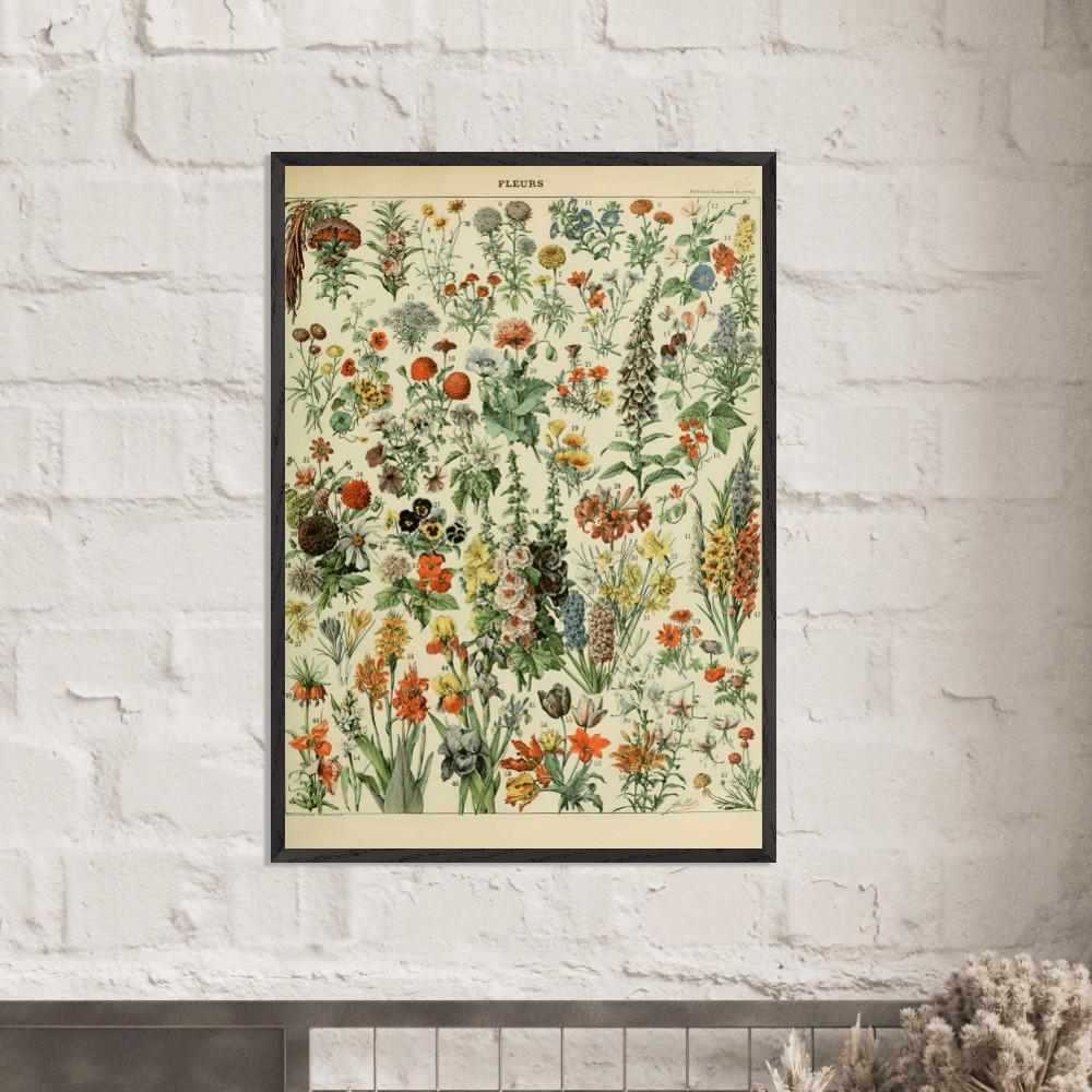 Illustrazione floreale vintage incorniciata, stampa Adolphe Millot