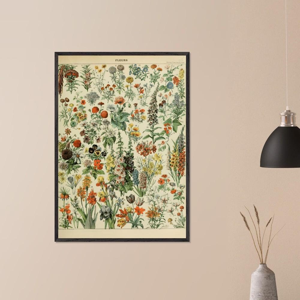 Illustrazione floreale vintage incorniciata, stampa Adolphe Millot