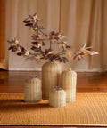 Elegante set di 4 vasi in vetro rivestiti in rattan