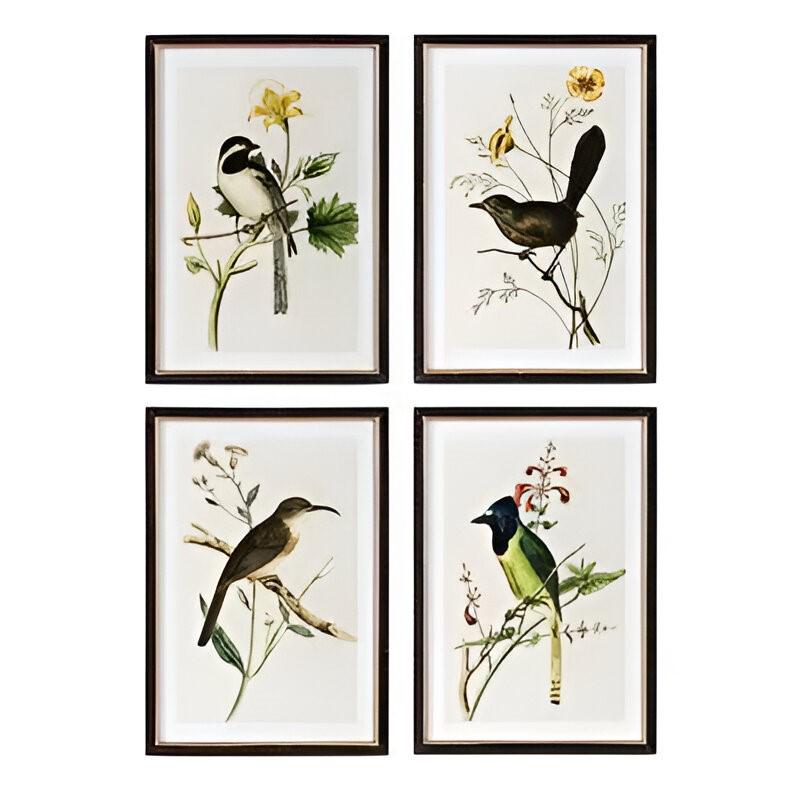 Stampe artistiche incorniciate di uccelli estivi assortiti – Set di 4 stili unici